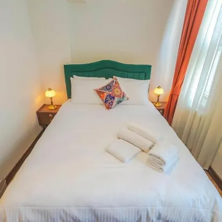 公寓 4-story Gem In Cihangir - 5 Bedroom & Cute Rooftop 伊斯坦布尔